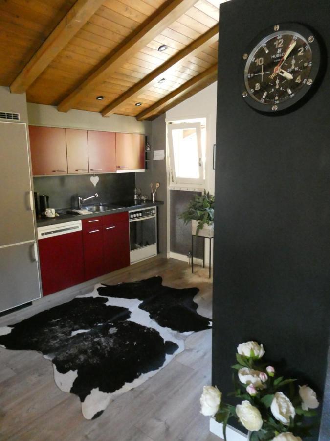 Central & Elegant Apartments,Partially With Fireplace, By Zermatt Rental Exterior photo